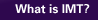 What is IMT?